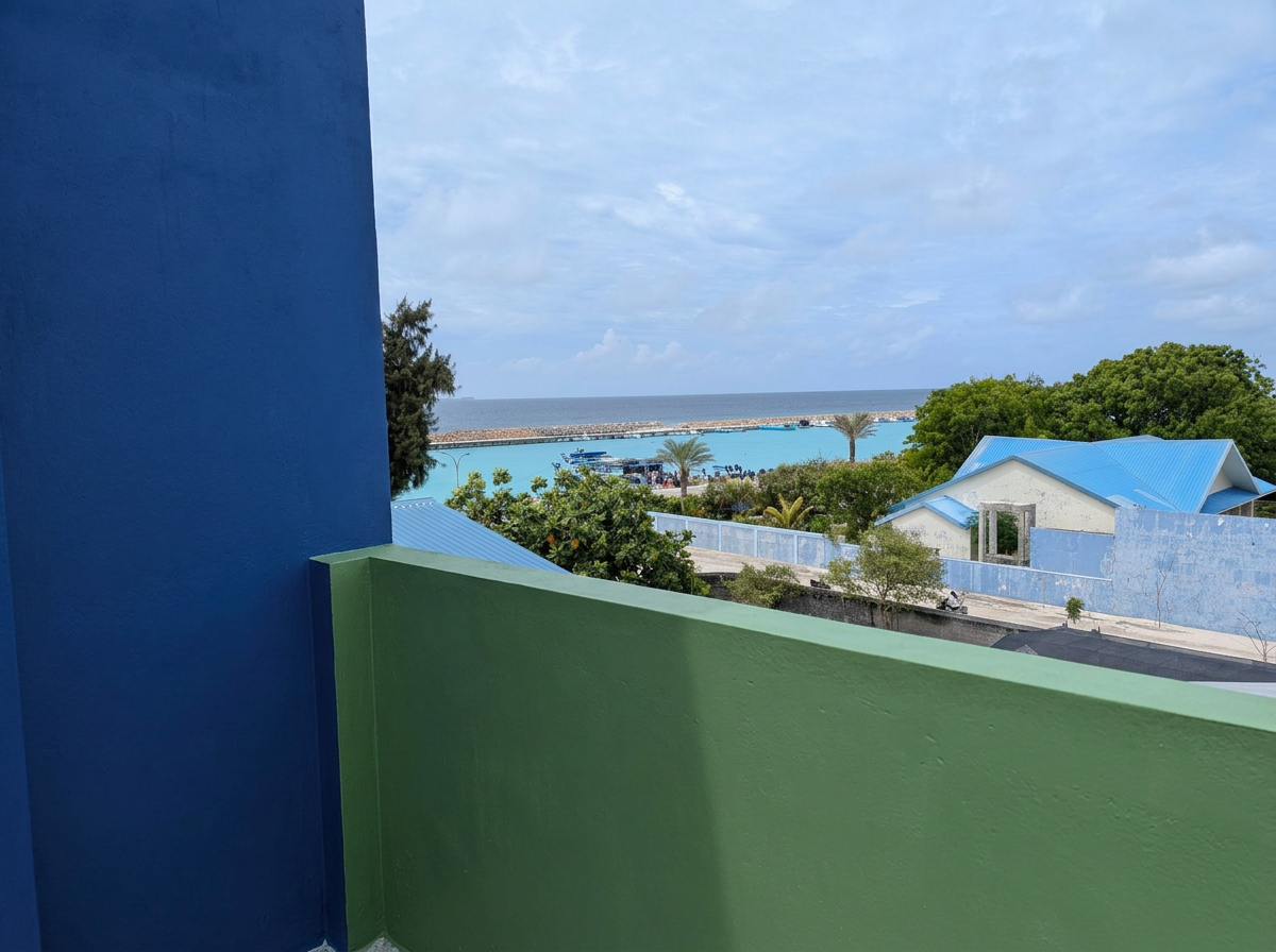 The harbor seen from the Dhoores rooftop, today