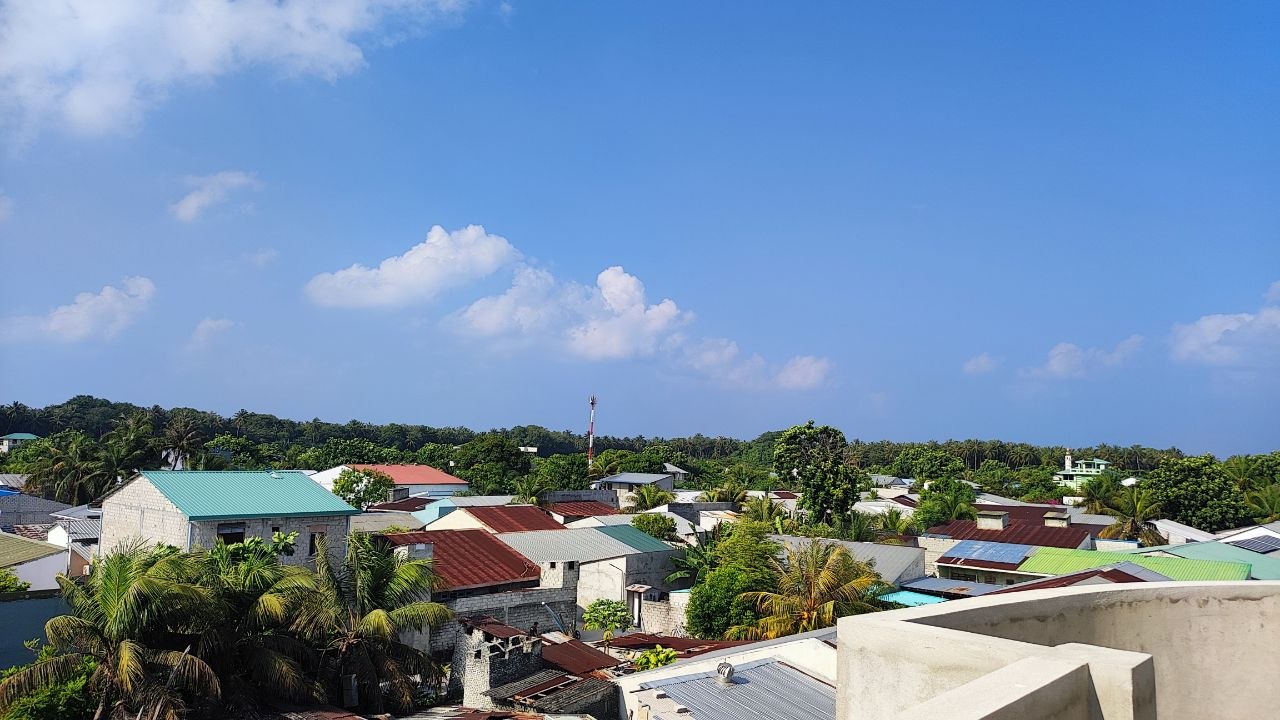 View from the rooftop terrace looking over Manadhoo's greenery